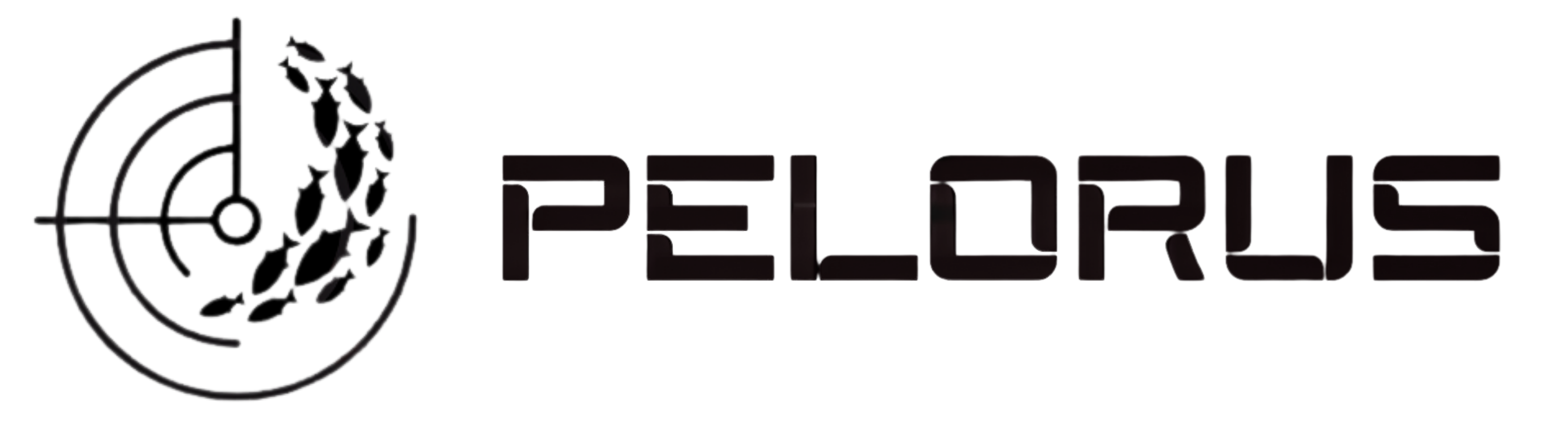 Pelorus