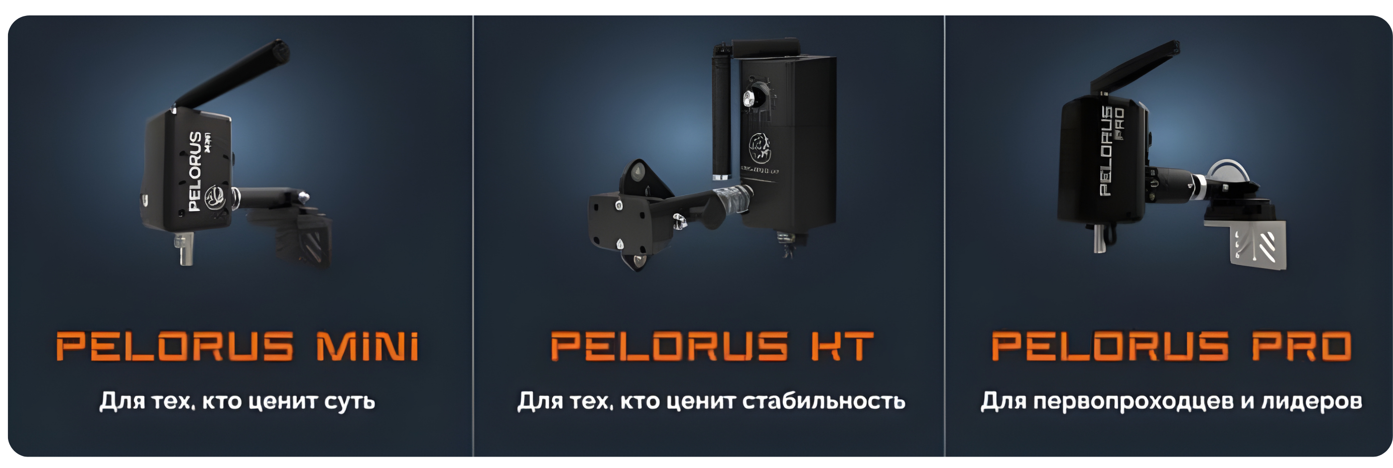 Pelorus